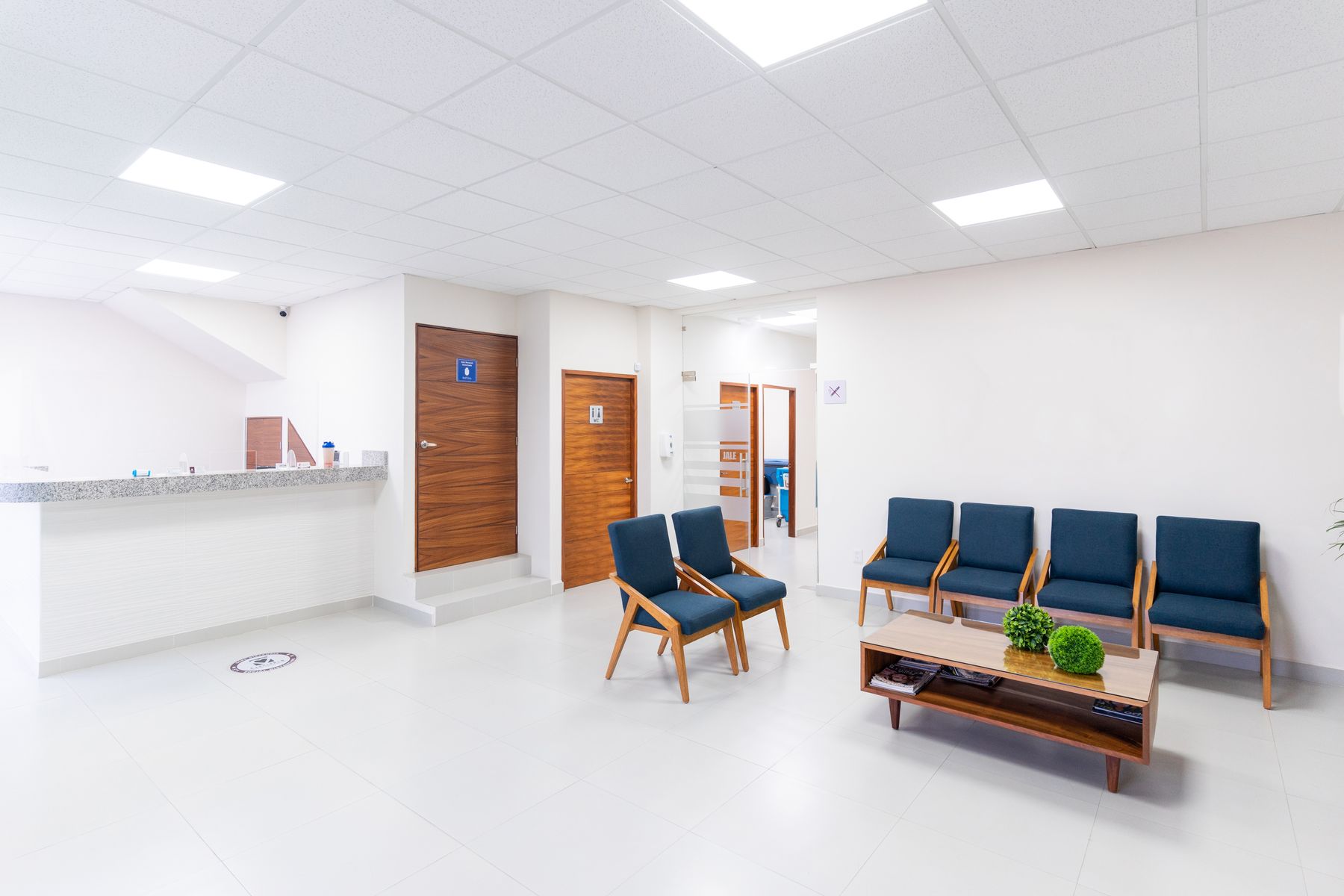 Bright, calm waiting area of a modern health practice