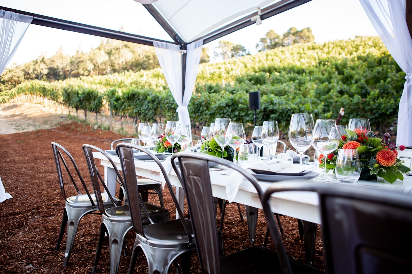 A long table set with wine glasses under a marquee beside the vines