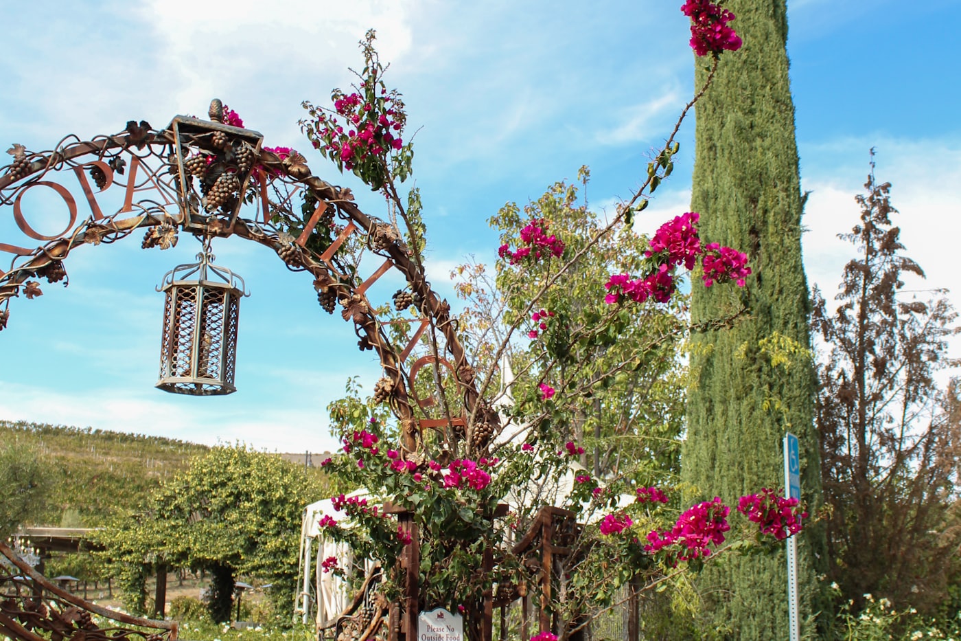 The entrance to the vineyard, an old wine barrel and flowering beds beside the gate