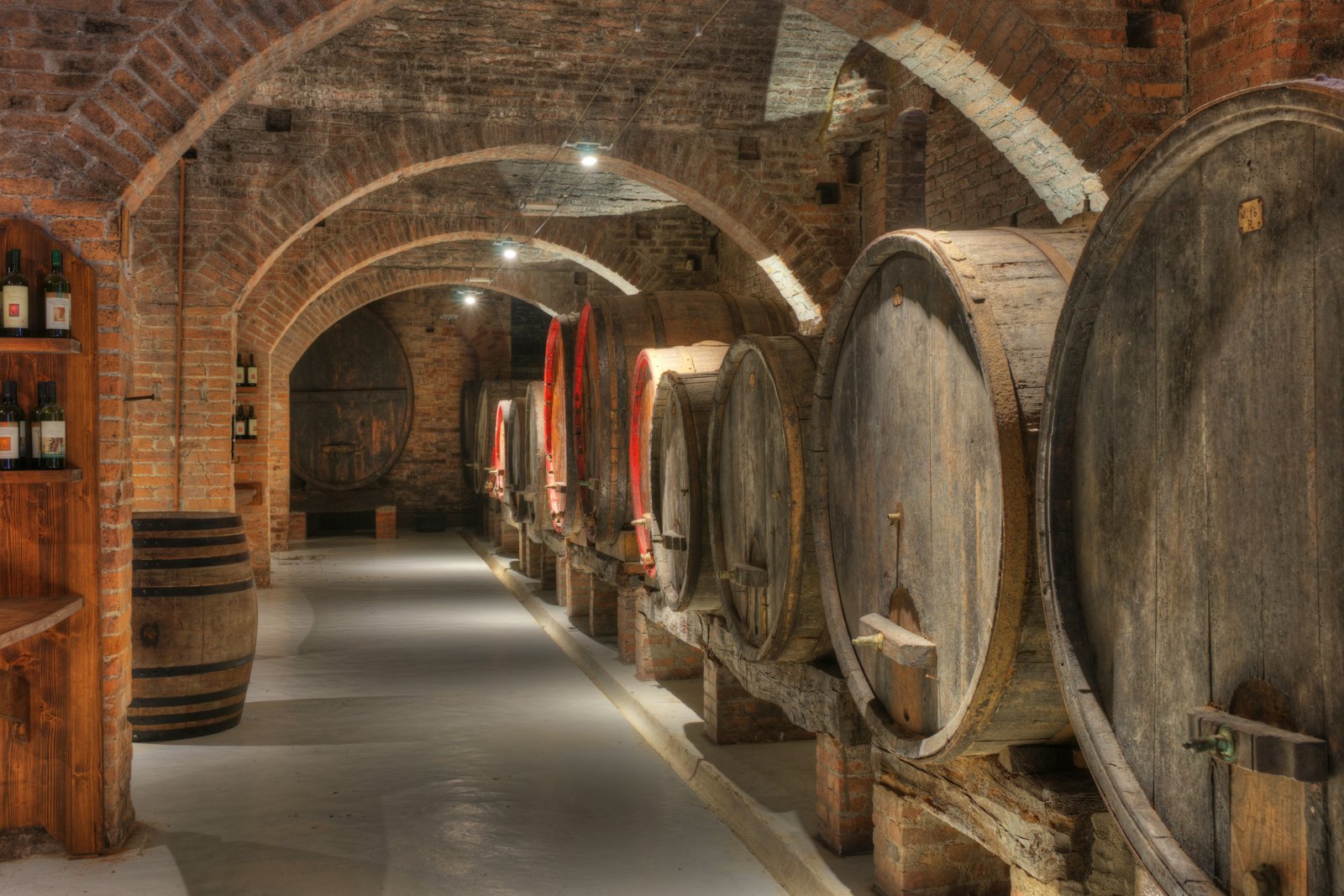 An arched brick cellar with rows of ageing wooden barrels