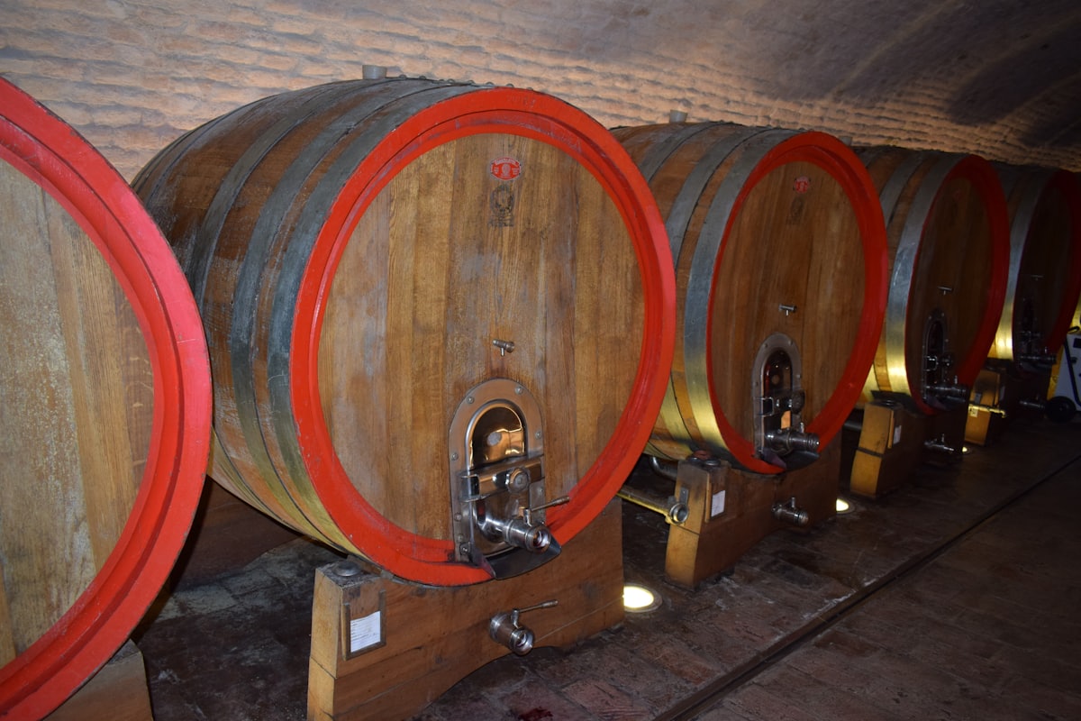 A row of wine barrels lined up along the cellar wall