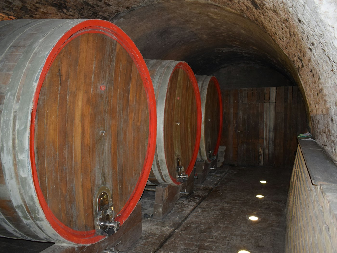 Oak barrels lined up along the length of the cellar
