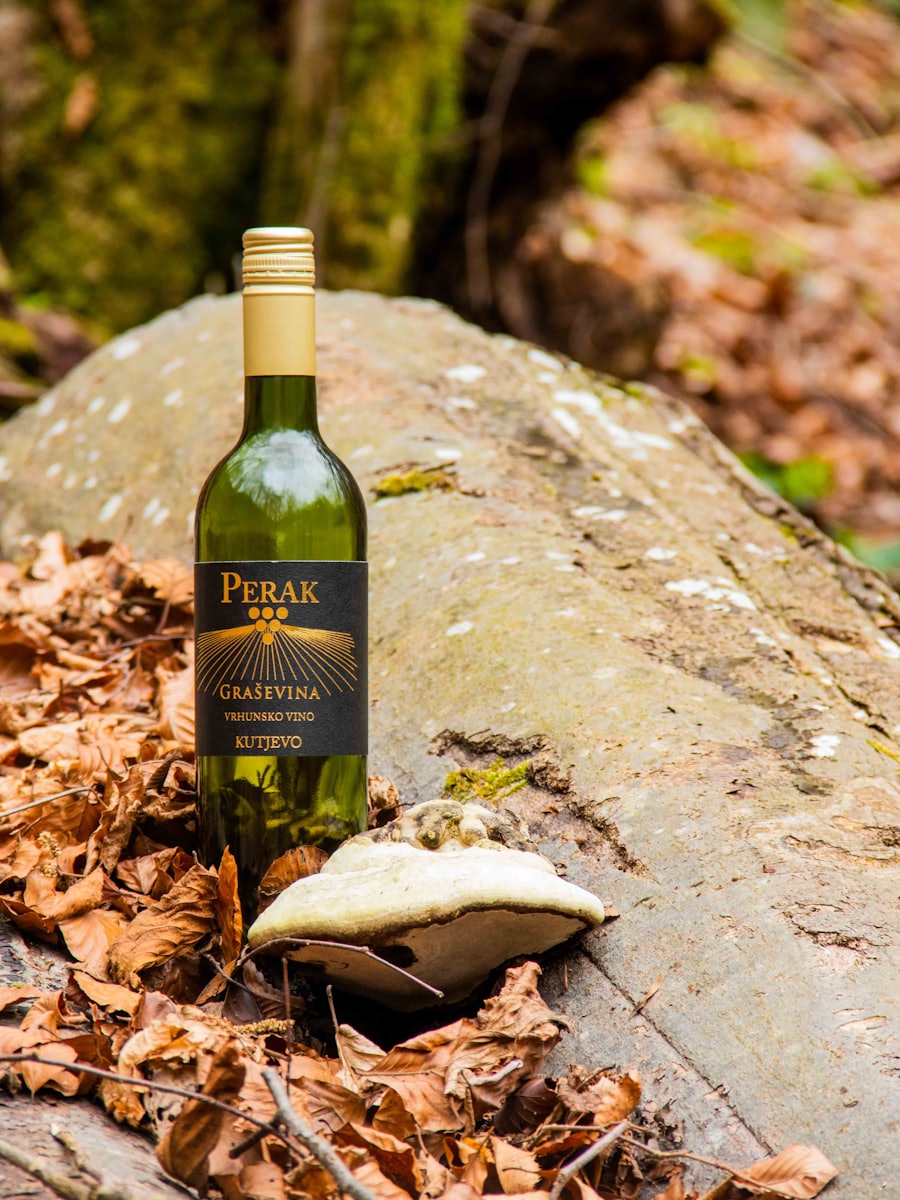 A bottle of wine resting on a rock outdoors